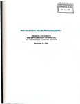Financial Statements and Supplementary Information and Independent Auditors' Reports, 2004