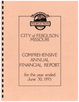 Comprehensive Annual Financial Report, 1993