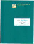 Financial Report, 2004 by City of Cool Valley