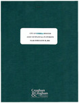 Audit of Financial Statements, 2004