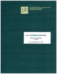 Financial Report, 2004 by City of Festus