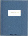 Report on Internal Control, 2006 by City of Cottleville