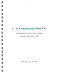 Audited Modified Cash Basis Financial Statements, 2006 by City of Greendale