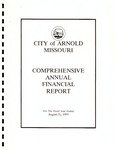 Comprehensive Annual Financial Report, 1993