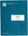 Financial Report, 2007 by City of Black Jack