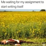 Meme to remind students the library is here to help | umsllibraries | Posts | 2022-08-12