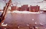 Bugg Lake, Snow, Benton Hall, Stadler Hall, C. 1970s 3578 by University of Missouri-St. Louis