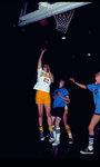 Women's Basketball/Sports 3882 by University of Missouri-St. Louis